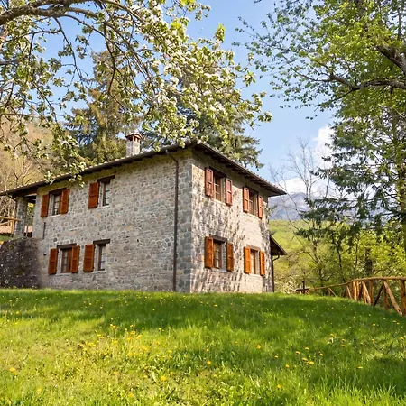 Mimma Orecchiella *