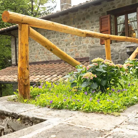 Mimma Orecchiella * Campaiana